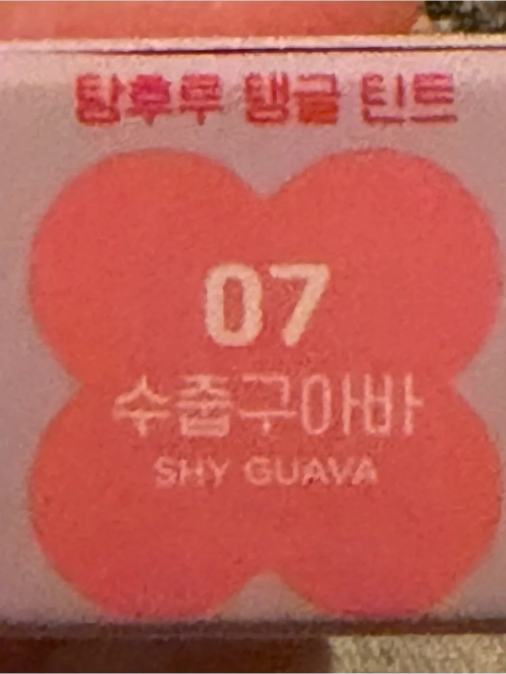 Colorgram Fruity Glass Tint 07 Shy Guava Glossy Lip Tint 3g
